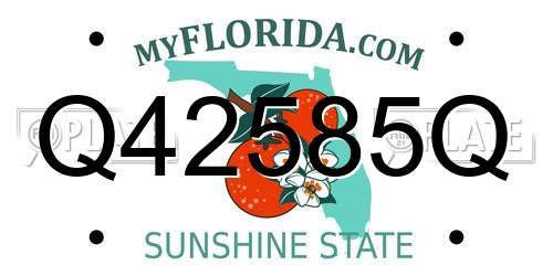 Q42585Q Florida License Plate