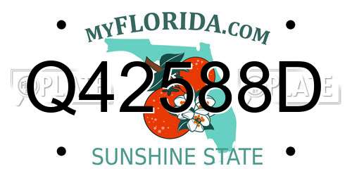 Q42588D Florida License Plate