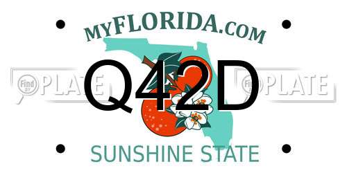 Q42D Florida License Plate