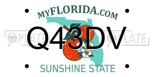 Q43DV Florida License Plate