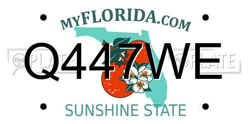 Q447WE Florida License Plate