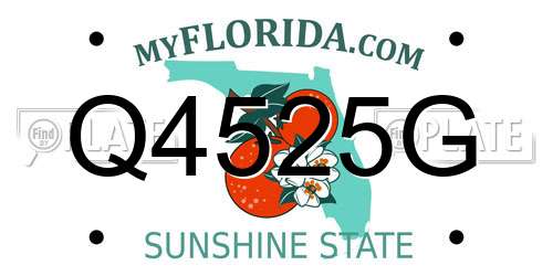Q4525G Florida License Plate