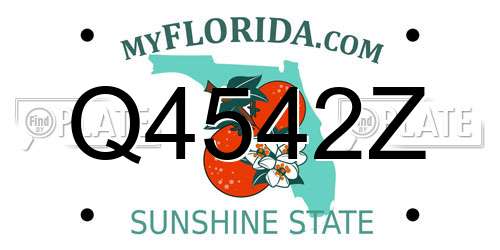 Q4542Z Florida License Plate