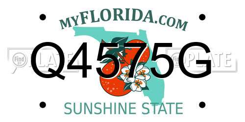 Q4575G Florida License Plate