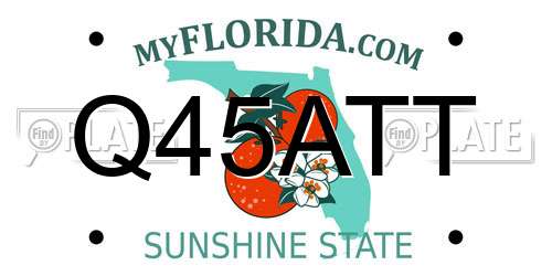 Q45ATT Florida License Plate