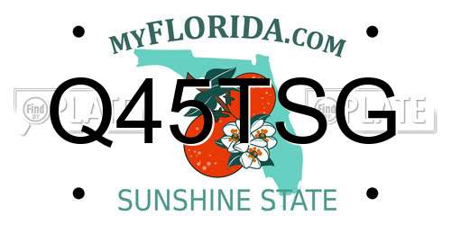 Q45TSG Florida License Plate