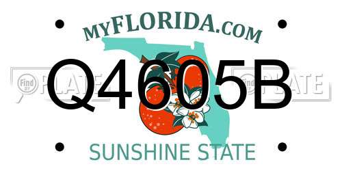 Q4605B Florida License Plate