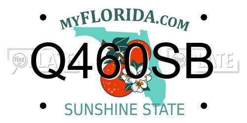 Q460SB Florida License Plate
