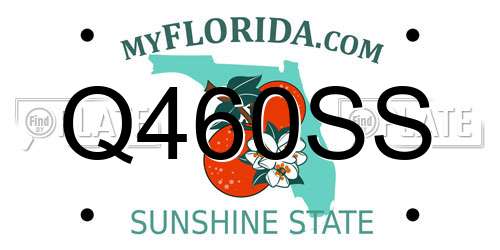 Q460SS Florida License Plate