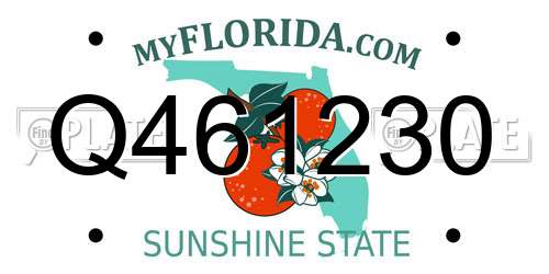 Q461230 Florida License Plate