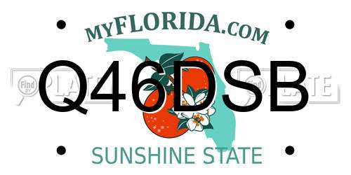 Q46DSB Florida License Plate