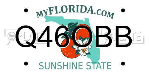 Q46OBB Florida License Plate