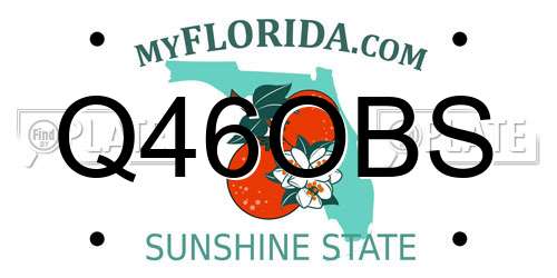 Q46OBS Florida License Plate