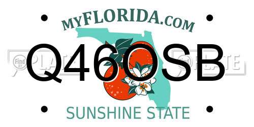 Q46OSB Florida License Plate