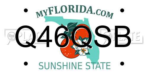 Q46QSB Florida License Plate