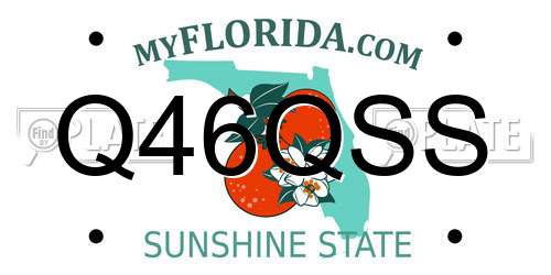 Q46QSS Florida License Plate