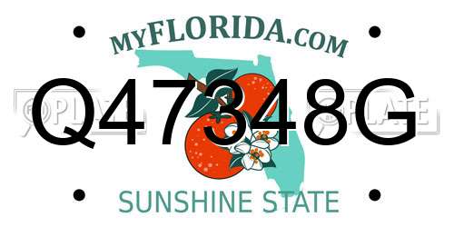 Q47348G Florida License Plate