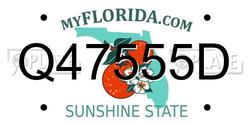 Q47555D Florida License Plate
