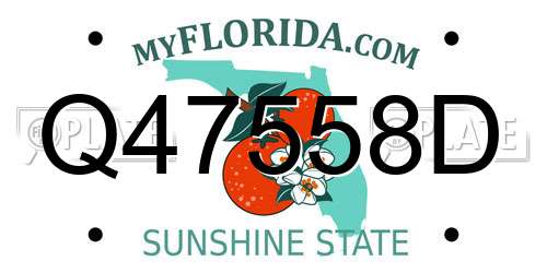 Q47558D Florida License Plate