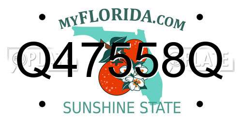 Q47558Q Florida License Plate