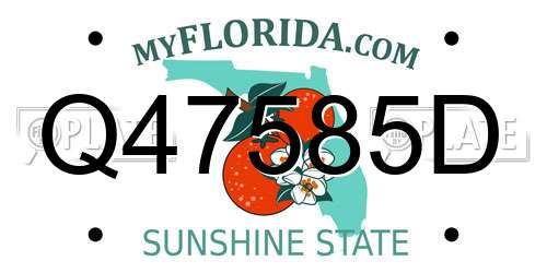 Q47585D Florida License Plate