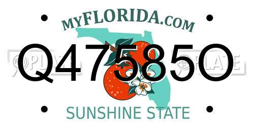 Q47585O Florida License Plate