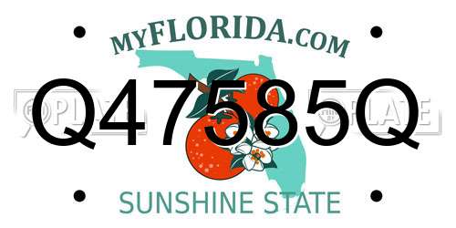 Q47585Q Florida License Plate