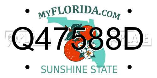 Q47588D Florida License Plate