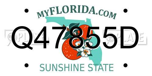 Q47855D Florida License Plate