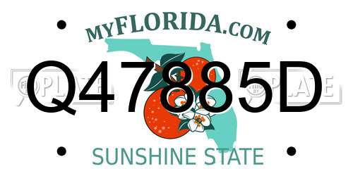 Q47885D Florida License Plate