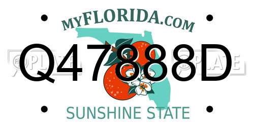 Q47888D Florida License Plate