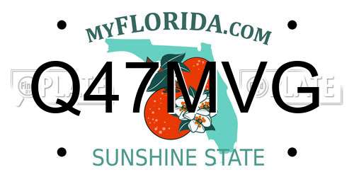 Q47MVG Florida License Plate