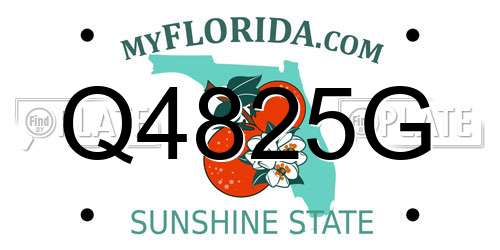 Q4825G Florida License Plate