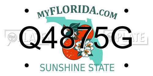 Q4875G Florida License Plate