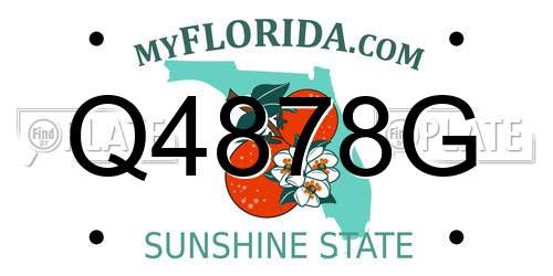 Q4878G Florida License Plate