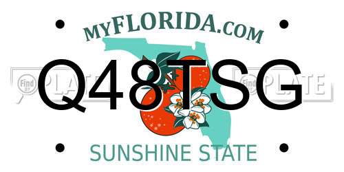 Q48TSG Florida License Plate