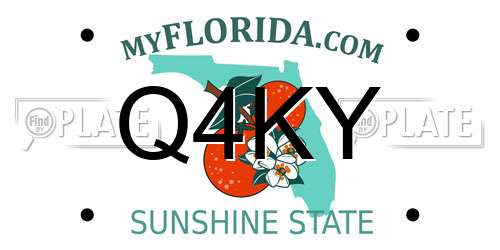 Q4KY Florida License Plate