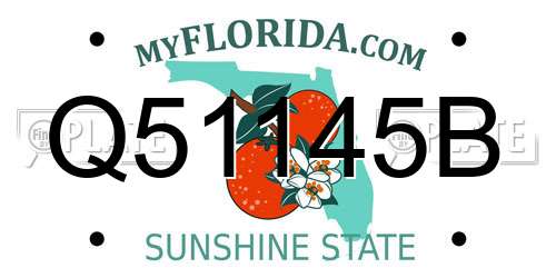 Q51145B Florida License Plate