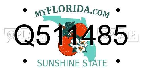 Q511485 Florida License Plate