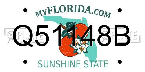 Q51148B Florida License Plate