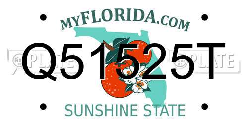 Q51525T Florida License Plate