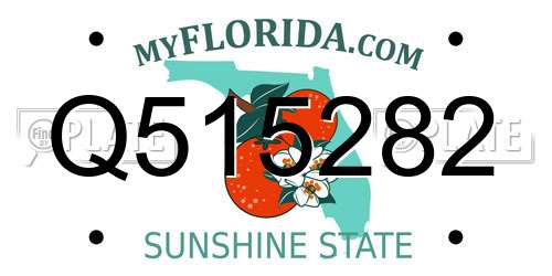 Q515282 Florida License Plate