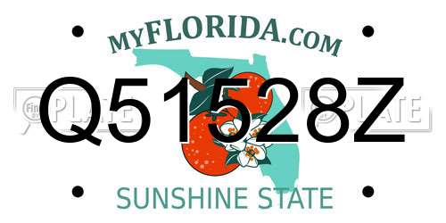 Q51528Z Florida License Plate