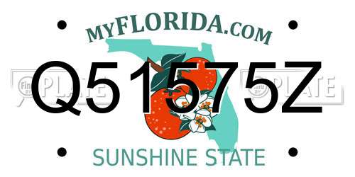 Q51575Z Florida License Plate