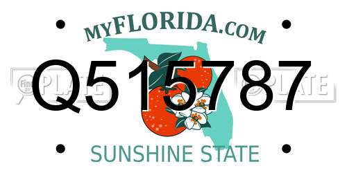 Q515787 Florida License Plate