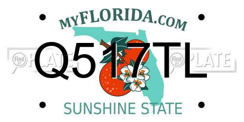 Q517TL Florida License Plate