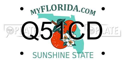 Q51CD Florida License Plate