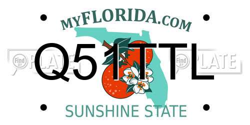 Q51TTL Florida License Plate