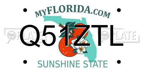 Q51ZTL Florida License Plate