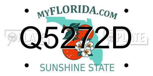 Q5272D Florida License Plate